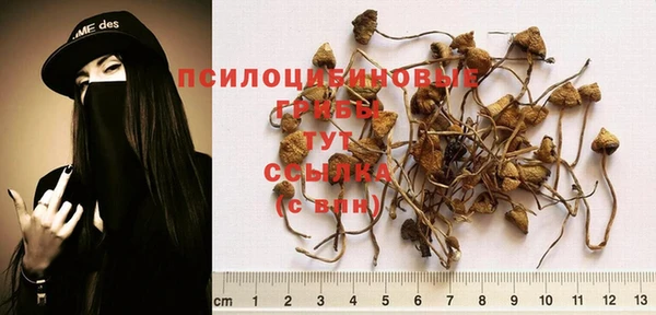 не бодяженный Лиски