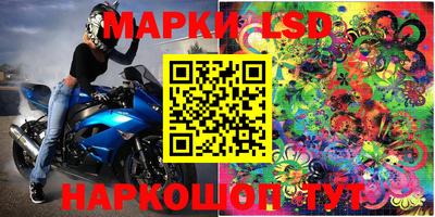 СК Волгодонск