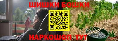 СК Волгодонск