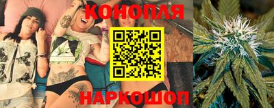шишки Волжский