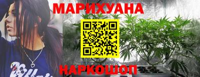 СК Волгодонск