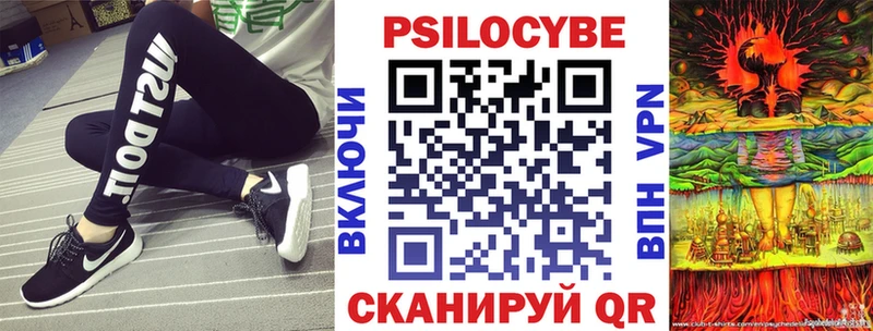 где продают   Железноводск  Псилоцибиновые грибы мицелий 