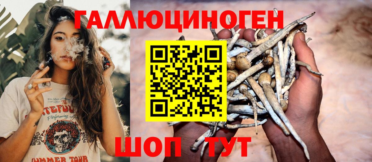 Галлюциногенные грибы Magic Shrooms Железноводск