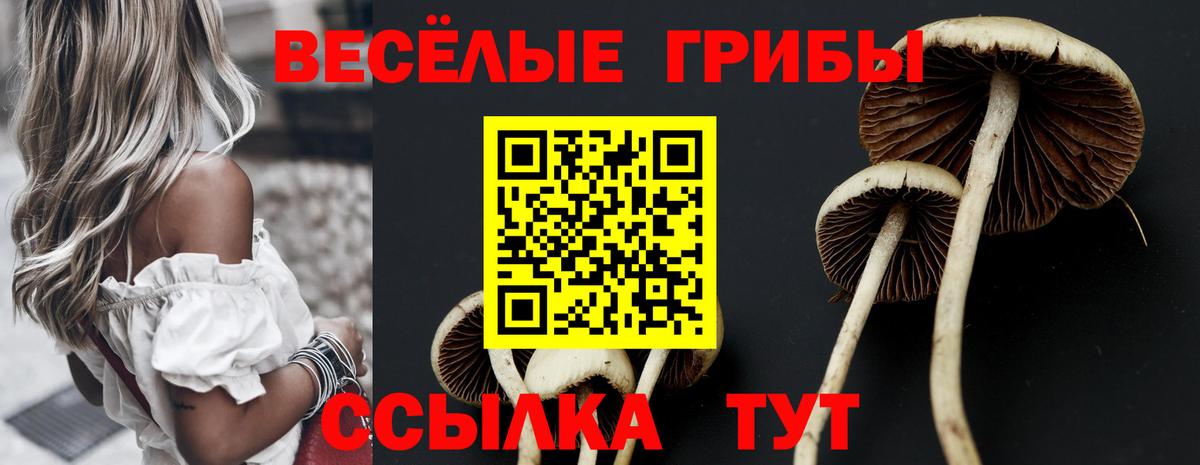 Железноводск  Псилоцибиновые грибы мухоморы  Вход с VPN 