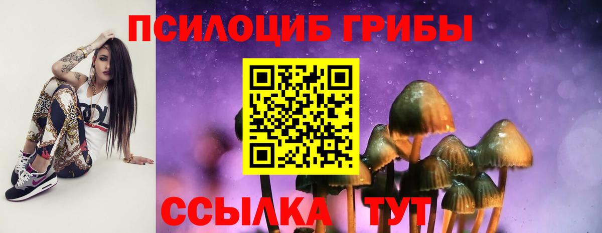 Галлюциногенные грибы Psilocybine cubensis  Железноводск 